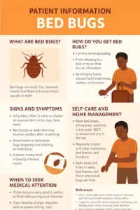 Patient Information: Bed Bugs (Adapted for Sub-Saharan Africa)